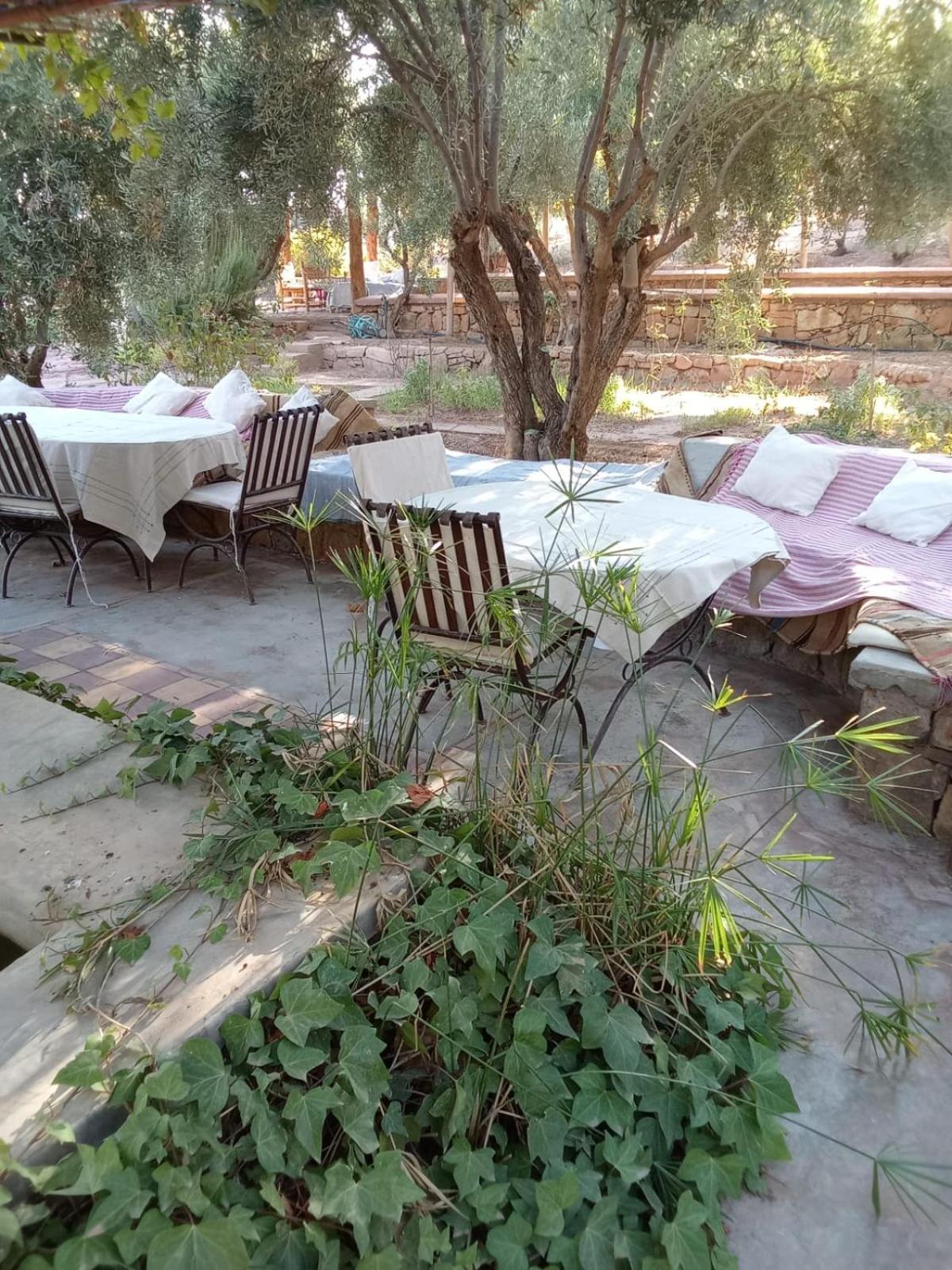Kasbah Timdaf Hotel เดมนาต ภายนอก รูปภาพ