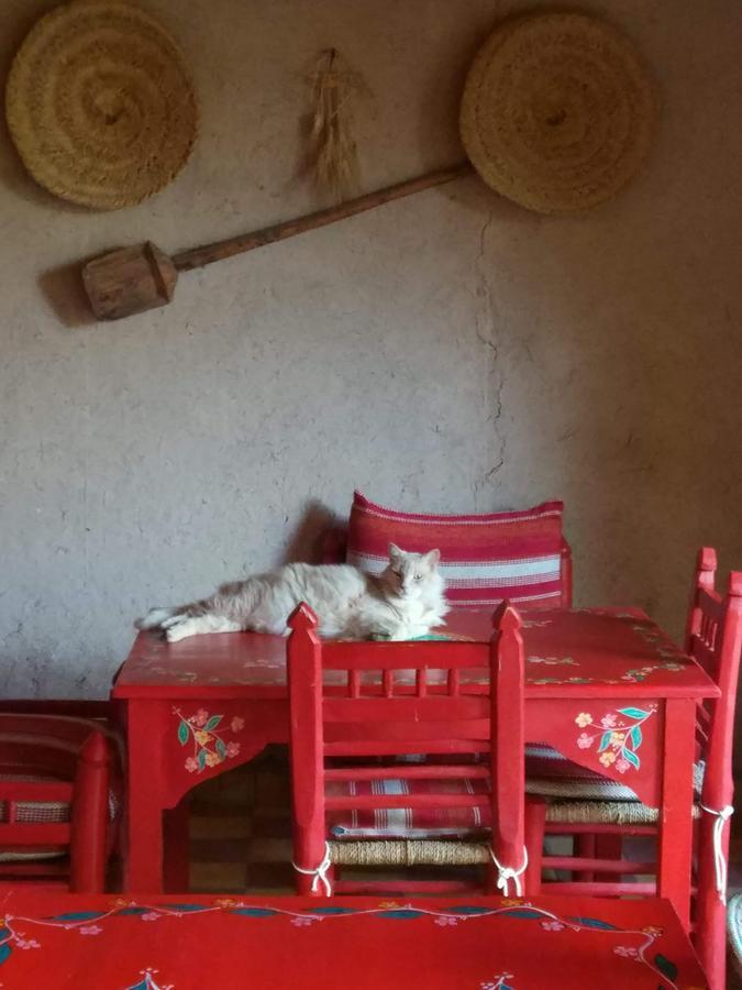 Kasbah Timdaf Hotel เดมนาต ภายนอก รูปภาพ